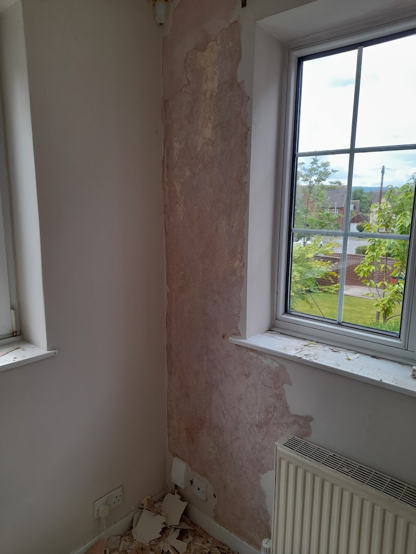 KPM painting and decorating — Photos 7